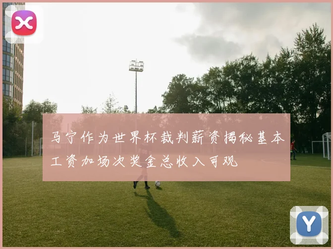 马宁作为世界杯裁判薪资揭秘基本工资加场次奖金总收入可观