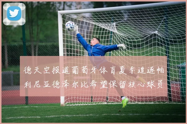 德天空报道葡萄牙体育夏季追逐帕利尼亚德泽尔比希望保留核心球员