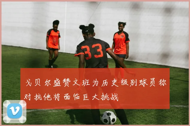 戈贝尔盛赞文班为历史级别球员称对抗他将面临巨大挑战